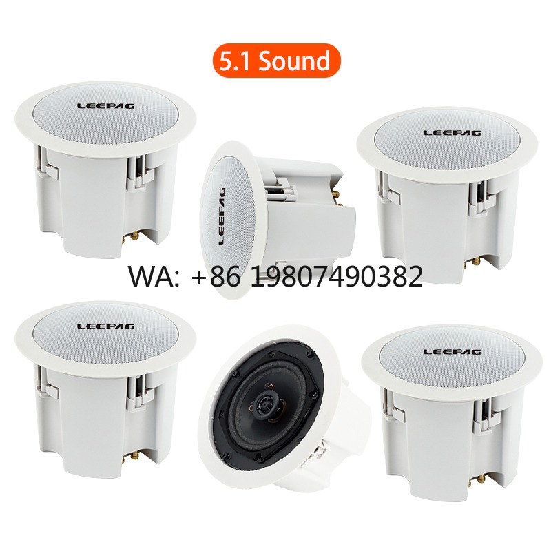 Audio Music Background - Waterproof WiFi Bluetooth Ceiling Speaker, Wireless