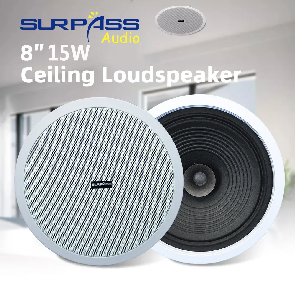 Home Audio Sound System 8inch  - Audio Music Background review and price