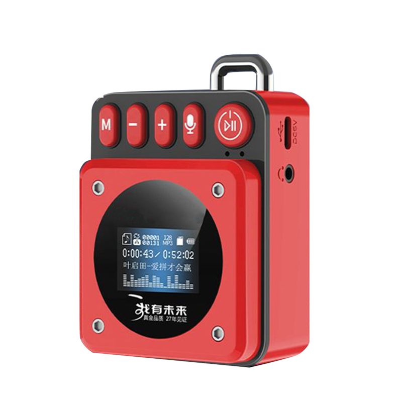 RISE-MP3 Music Player Recorder - Audio Music To Lyrics review and price