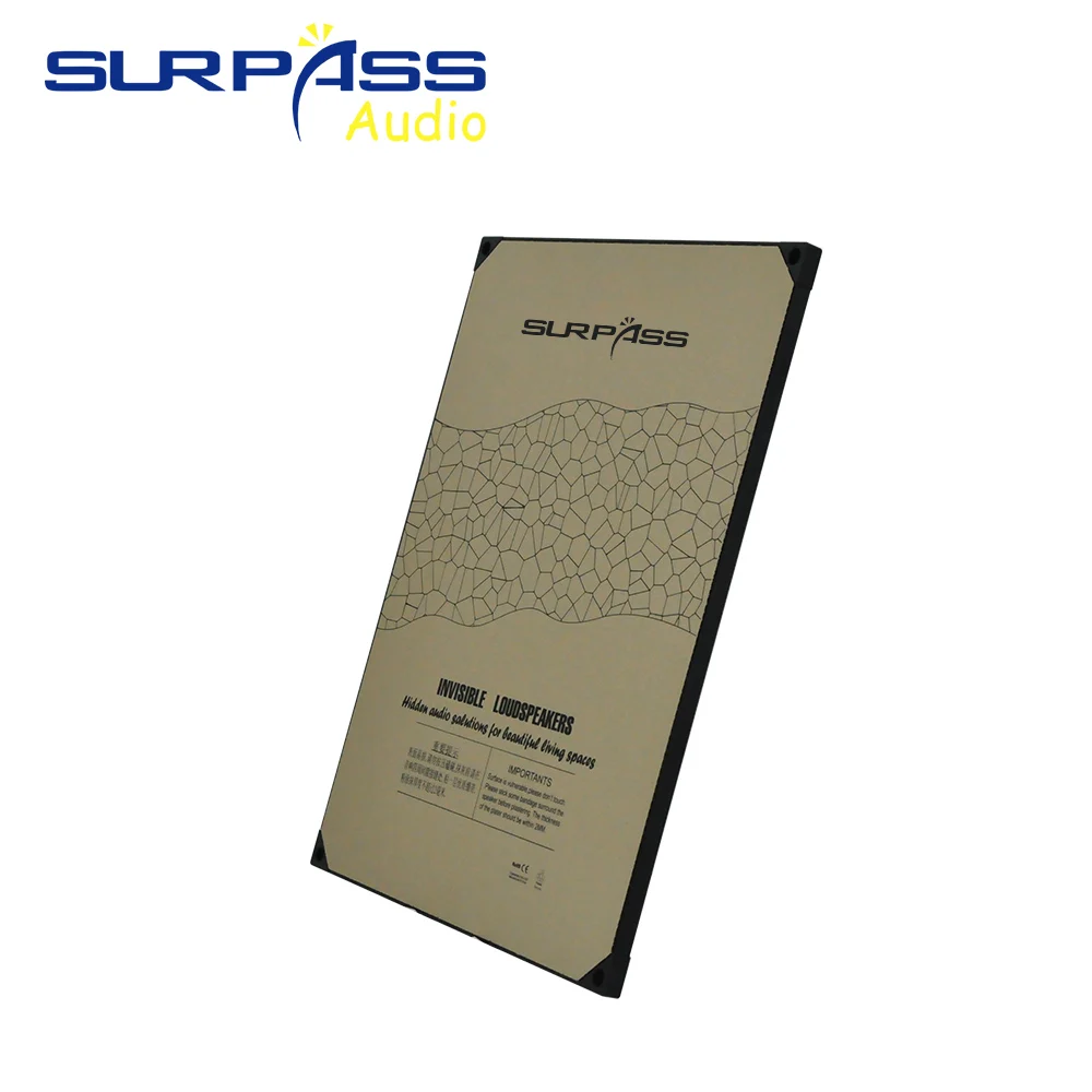 20W Invisible Indoor Speaker R - Audio Music Background review and price